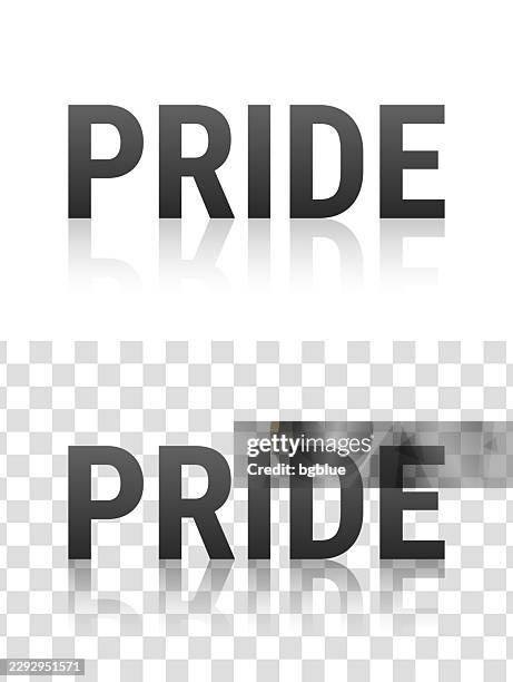 pride - text with reflection on transparent background - mirror reflection happy stock illustrations
