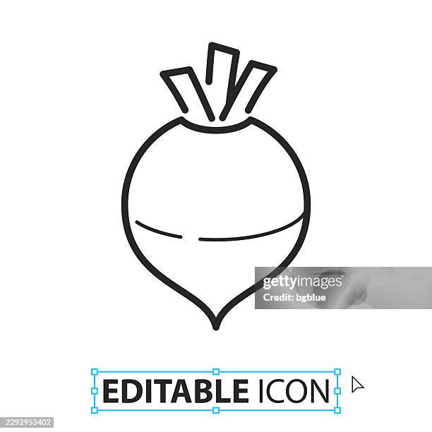 rutabaga - line editable icon on white background - beetroot cut out stock illustrations