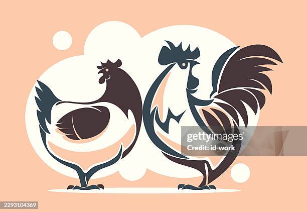 rooster and hen drawing - angry rooster stock illustrations
