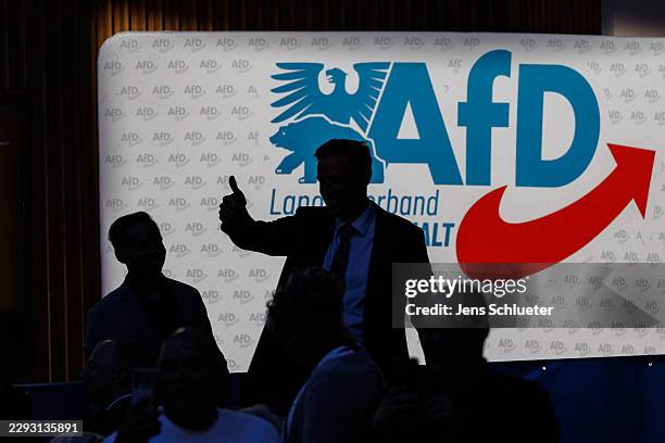 Supporter of the far-right Alternative for Germany political party during the final campaign rally on the eve of state elections in Saxony-Anhalt on...