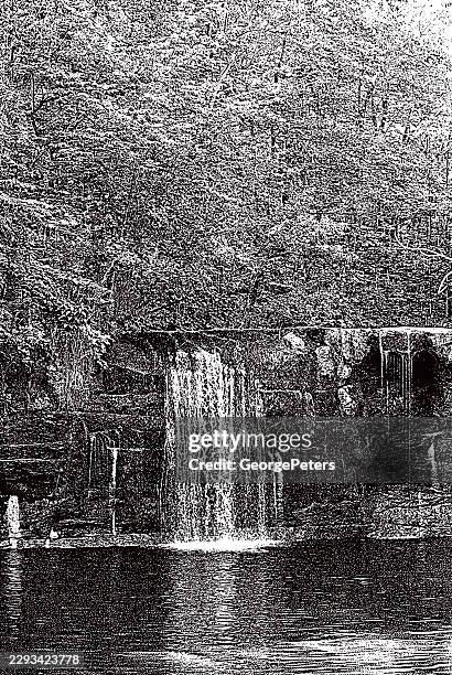 waterfall tranquil wilderness stream - forest path stock illustrations