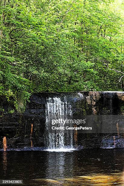 waterfall tranquil wilderness stream - waterfall stock illustrations