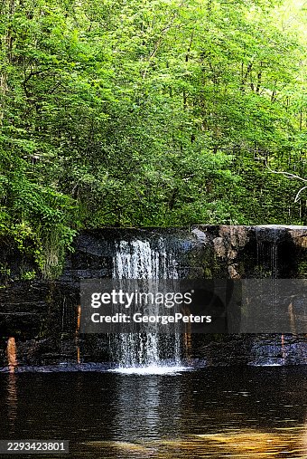 Waterfall Tranquil Wilderness Stream Waterfall Tranquil Wilderness Stream