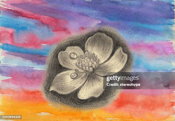 flower with dew - foraging forest stock illustrations