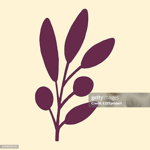 olive branch illustration. botanical leaf branch silhouette. decorative olive leaves icon - olive leaf tree stock illustrations