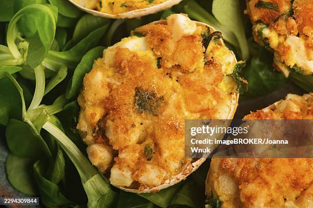 baked deviled eggs in shells with arugula on handmade ceramic plate - deviled eggs stock pictures, royalty-free photos & images
