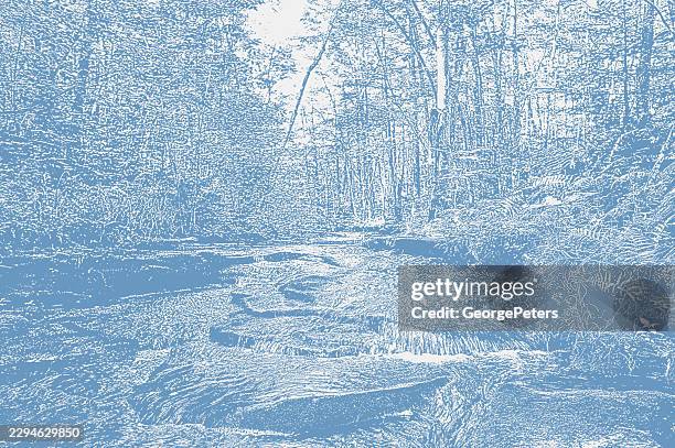 tranquil scenic stream and rocky rapids and forest - empty park path stock illustrations