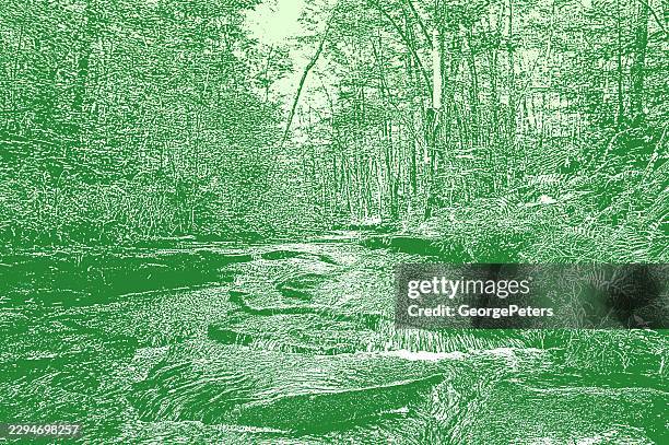 tranquil scenic stream and rocky rapids and forest - fern texture stock illustrations