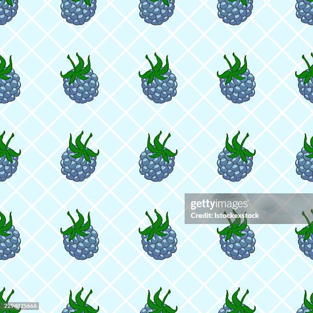 seamless pattern of blue blackberries on light grid background - blackberry background stock illustrations