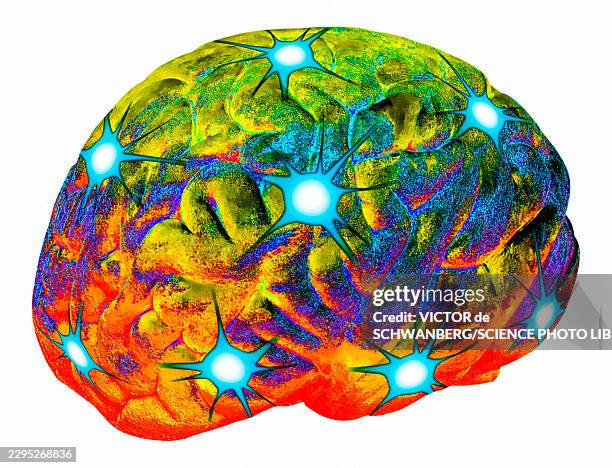 brain neurons, conceptual illustration - eeg stock illustrations
