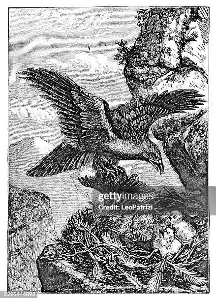 eagle perched on cliff with young eaglets in nest - eagle nest stock illustrations