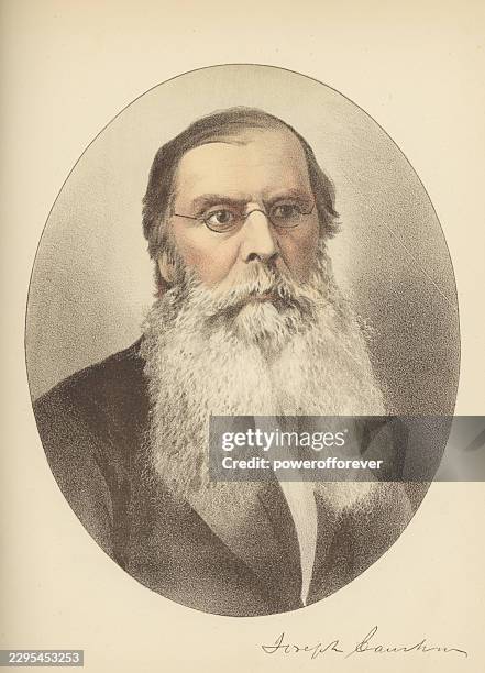 joseph-édouard cauchon - 19th century - mayor stock illustrations