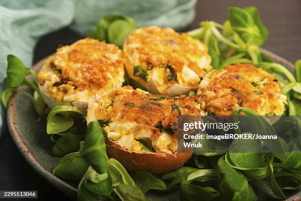 baked deviled eggs in shells with arugula on handmade ceramic plate - deviled eggs stock pictures, royalty-free photos & images
