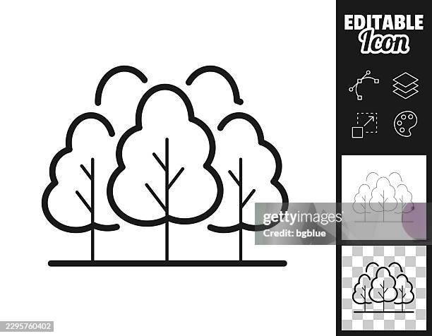 dense forest. icon for design. easily editable - forest floor stock illustrations