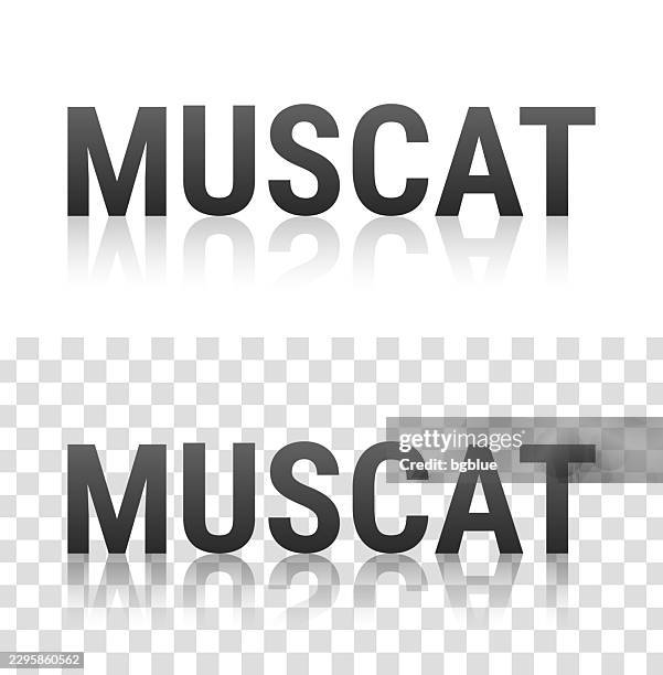 muscat - text with reflection on transparent background - mirror reflection city stock illustrations