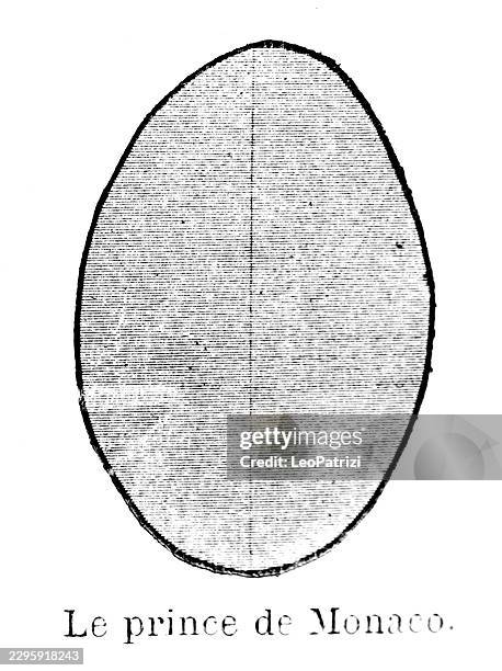 prince of monaco oval-shaped symbolic form for anthropological study - case study stock illustrations