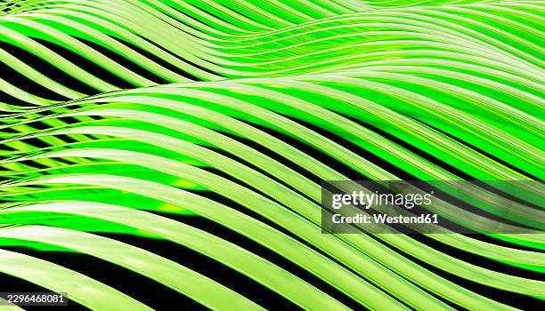 green abstract waves create a dynamic modern striped pattern - rhythm background stock illustrations