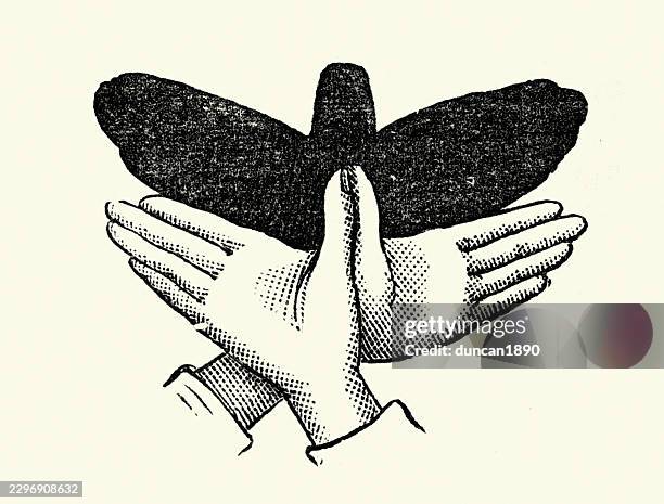 shadowgraphy or ombromanie, making hand shadow puppet, butterfly, victorian vintage illustration 19th century - puppet show stock illustrations