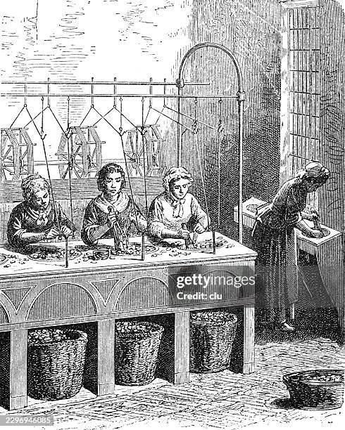 silk reeling — four women working in a silk workshop at a long table, sorting and processing cocoons while reeling fine silk filaments onto reels in the background - factory worker white background stock illustrations