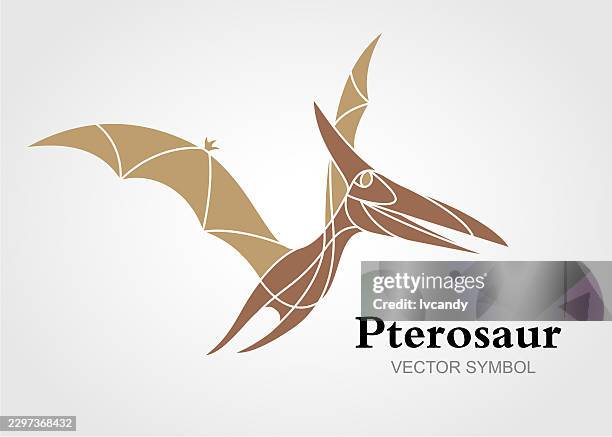pterosaur symbol design - dinosaur background stock illustrations