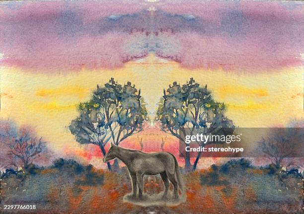 just a horse - cows sunset stock illustrations