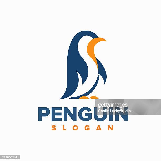 modern penguin logo designs concept vector, stylish penguin stock illustration - penguins swimming stock illustrations