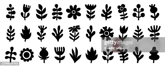Hand drawn plants Hand drawn plants