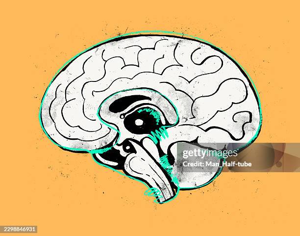human brain abstract art - adhd stock illustrations