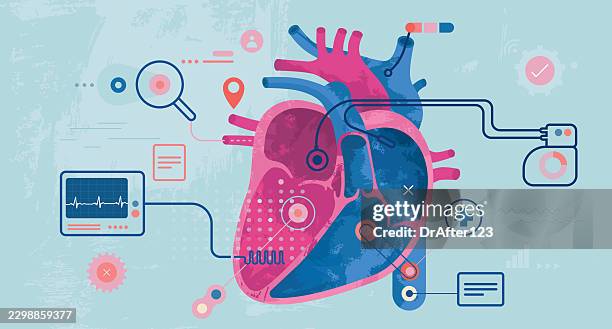 exploring human heart - pacemaker stock illustrations