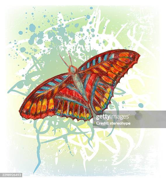 just a butterfly - quantum stock illustrations
