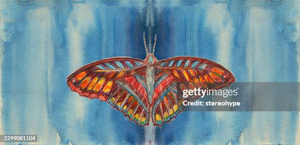 butterfly horizon - quantum wave stock illustrations