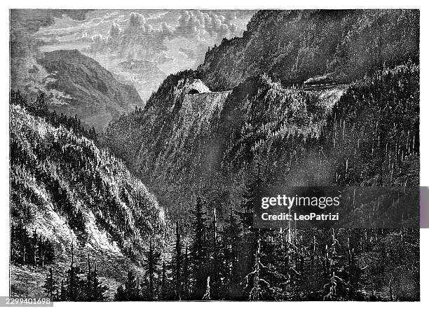 dense forested mountain valley with carved path - cliff face stock illustrations