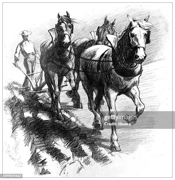 prairie plowing scene with horses and farmer - open field stock illustrations