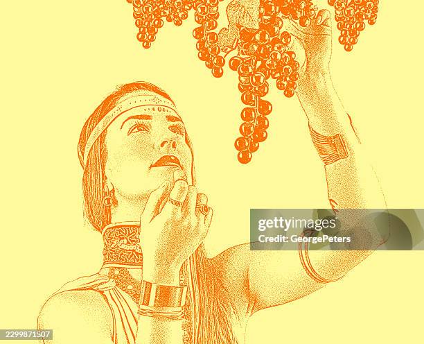 classical woman picking and eating grapes in vineyard - picking oranges stock illustrations