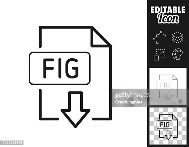 fig file download. icon for design. easily editable - figs stock illustrations