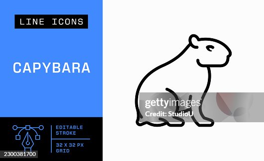 Capybara Editable Stroke Vector Icon Capybara Editable Stroke Vector Icon