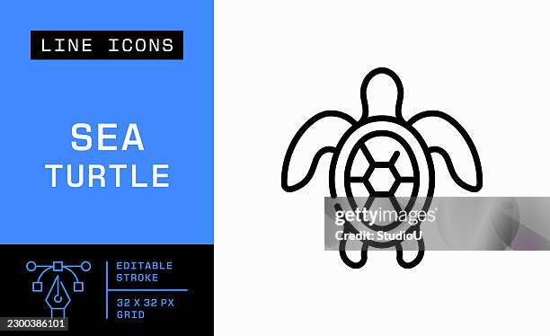 sea turtle editable stroke vector icon - loggerhead turtle stock illustrations