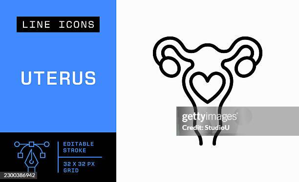 uterus editable stroke vector icon - cervical screening stock illustrations