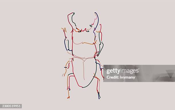 abstract color hand drawn beetle insect art doodle illustration - ladybug sketch stock illustrations