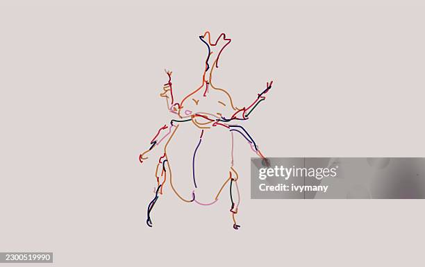 abstract color hand drawn beetle insect art doodle illustration - ladybug sketch stock illustrations