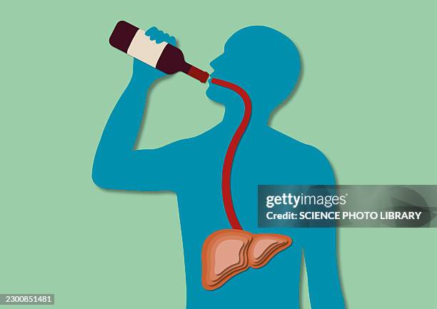 alcohol consumption, conceptual illustration - hepatocyte stock illustrations