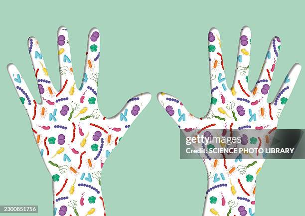 hand bacteria, conceptual illustration - microbiome stock illustrations