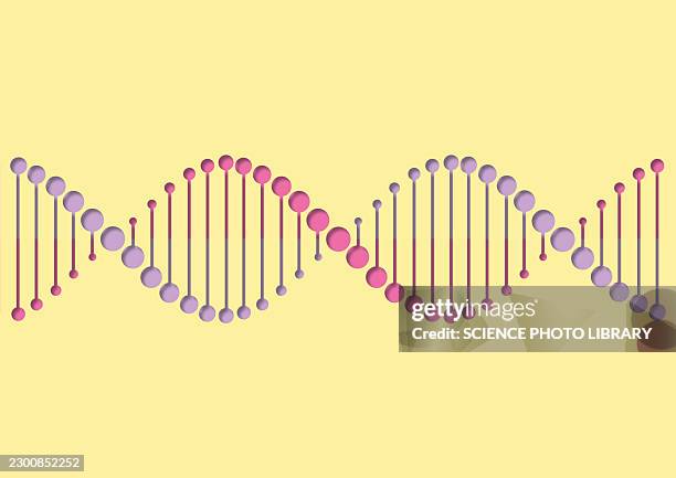 dna molecule, conceptual illustration - genomics stock illustrations
