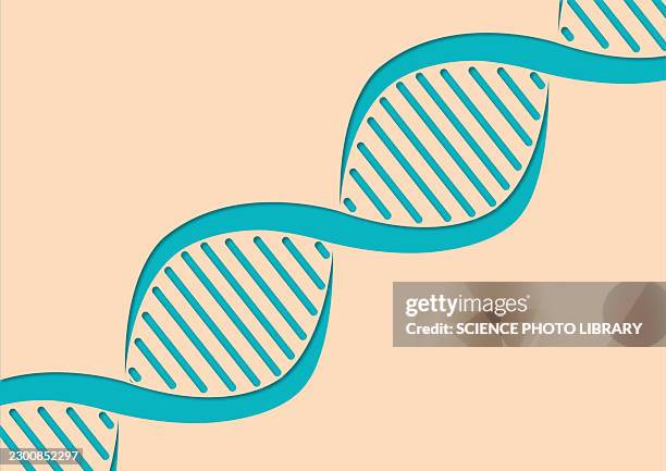 dna molecule, conceptual illustration - genomics stock illustrations