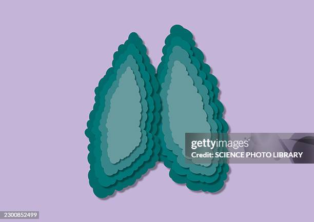 healthy thymus, illustration - t cell stock illustrations