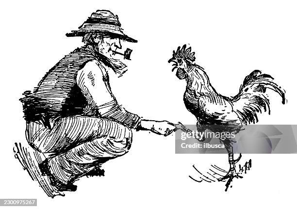 two of a kind: man and rooster - farmers shaking hands stock illustrations