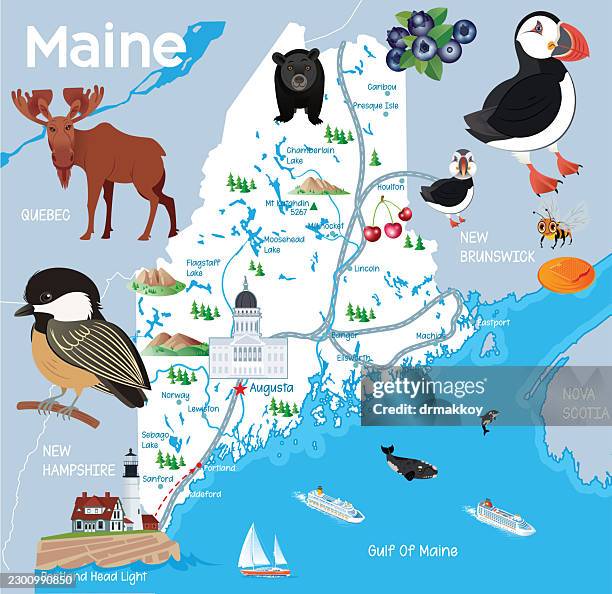 maine state map - orca stock illustrations