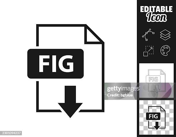 fig file download. icon for design. easily editable - computer literacy stock illustrations