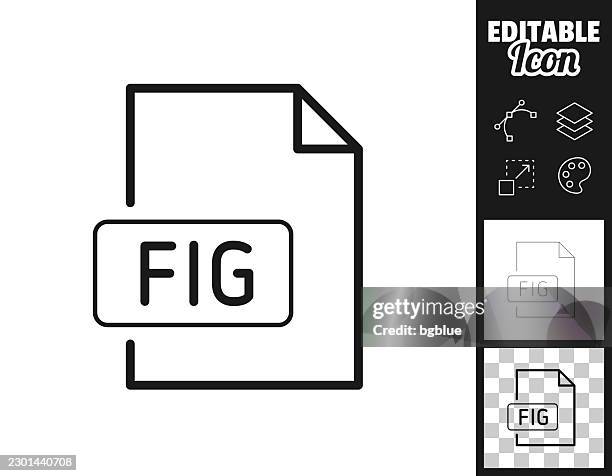 fig file. icon for design. easily editable - digital literacy stock illustrations