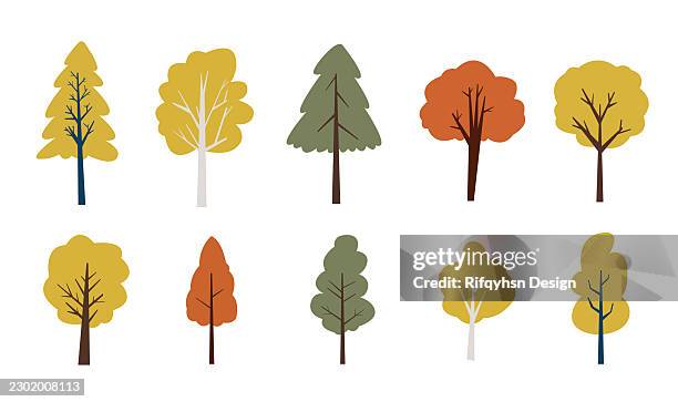 tree vector set, green trees and bushes collection, pine oak maple birch willow ash and chestnut tree icons, flat cartoon forest nature illustration isolated on white background - birch trees spring stock illustrations